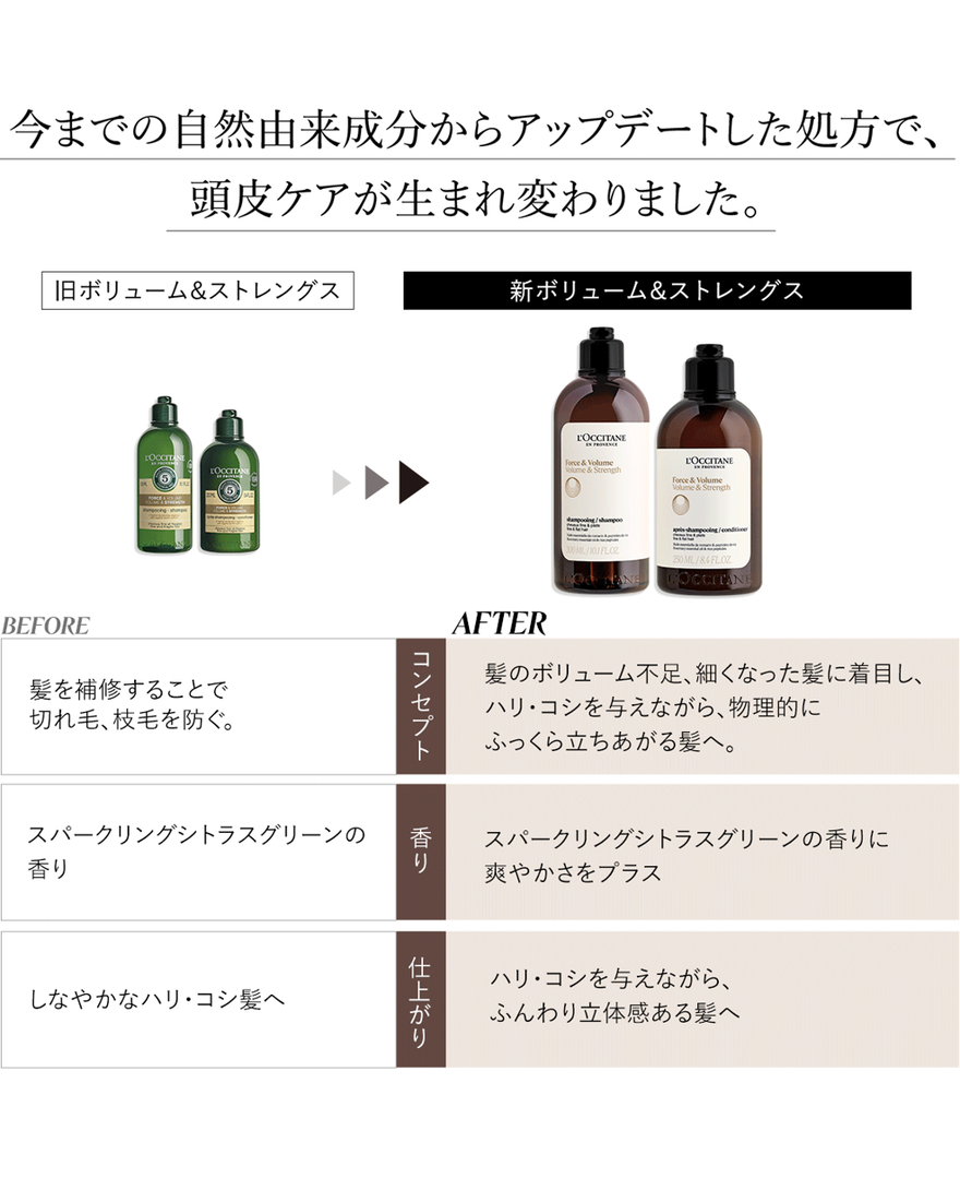 ボリューム＆ストレングス シャンプー（レフィル） 250mL｜ヘアケア