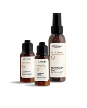 L'OCCITANE Force & Volume シャンプーセット Amazon.co.jp: ファイブハーブス ボリューム&ストレングス