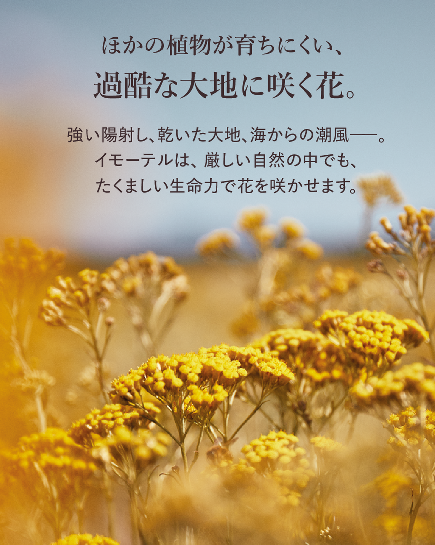 13件中5番目 イモーテル オーバーナイトリセットセラム, , JPRECT