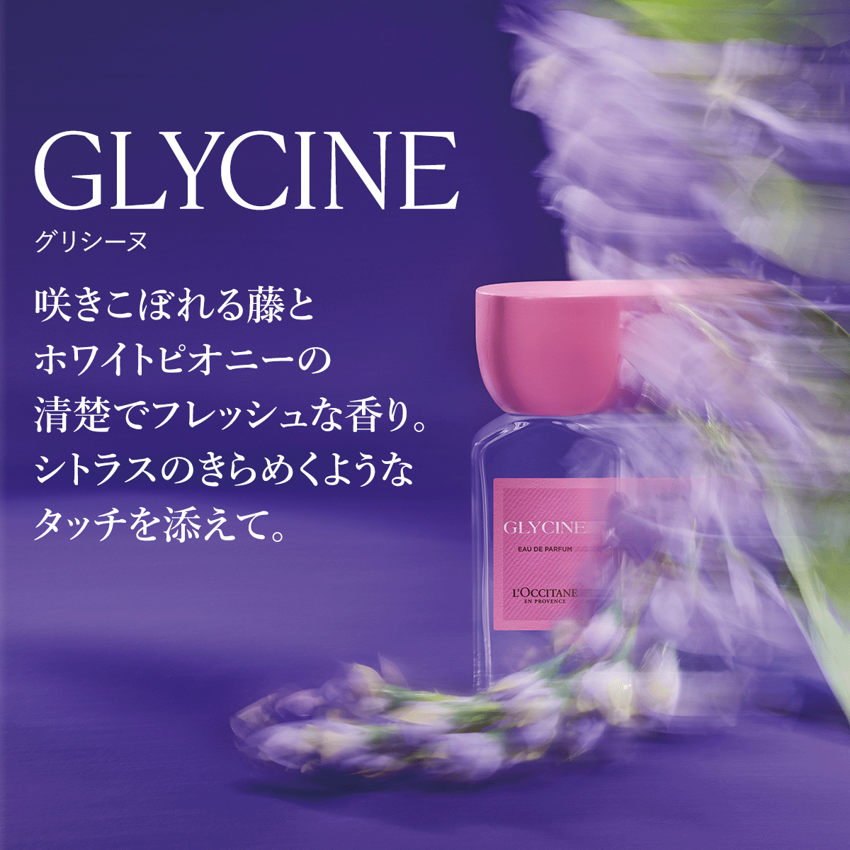 香水 ロクシタン グリシーヌ オードパルファム 50ml セット