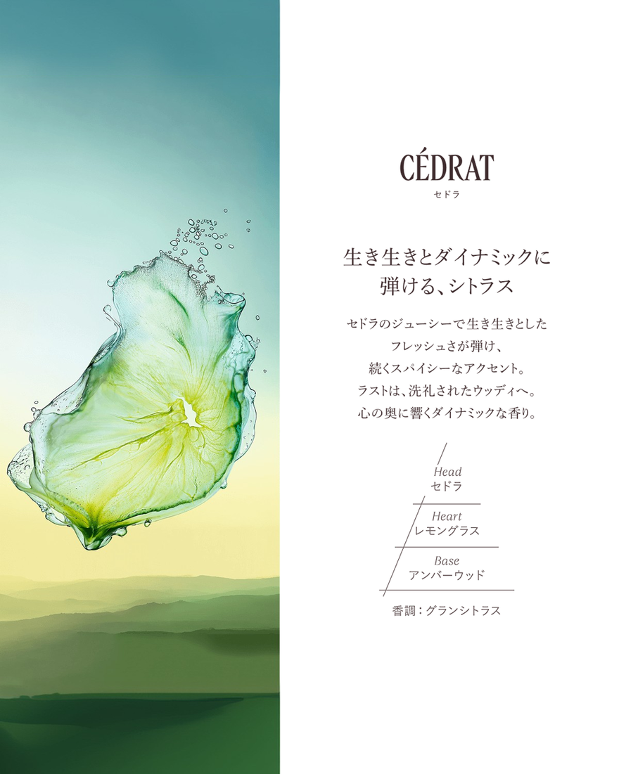 セドラ オードトワレ 50mL｜フレグランス｜ロクシタン公式通販