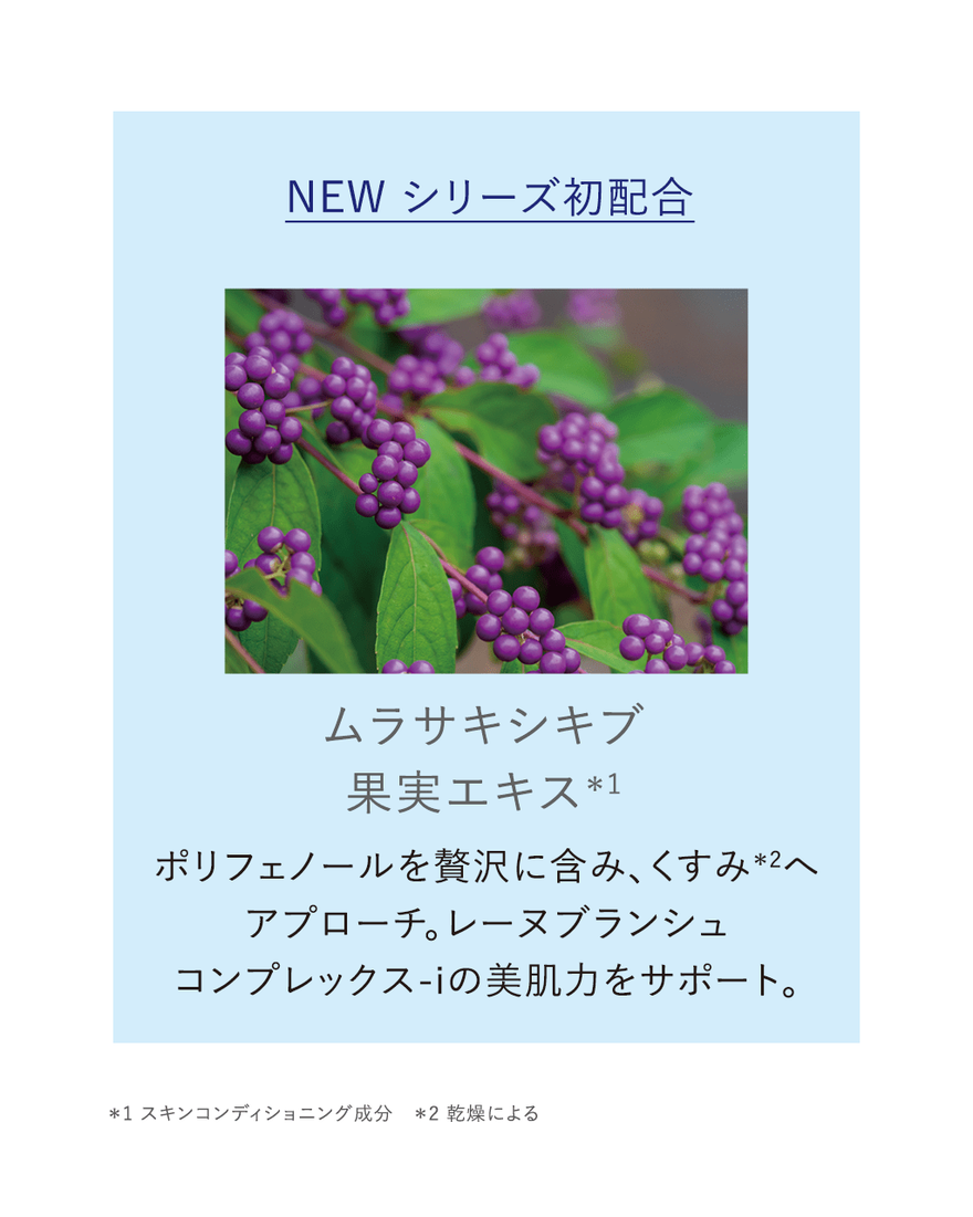 レーヌブランシュ ターゲティッドナイトコンセントレート 15mL＜医薬部