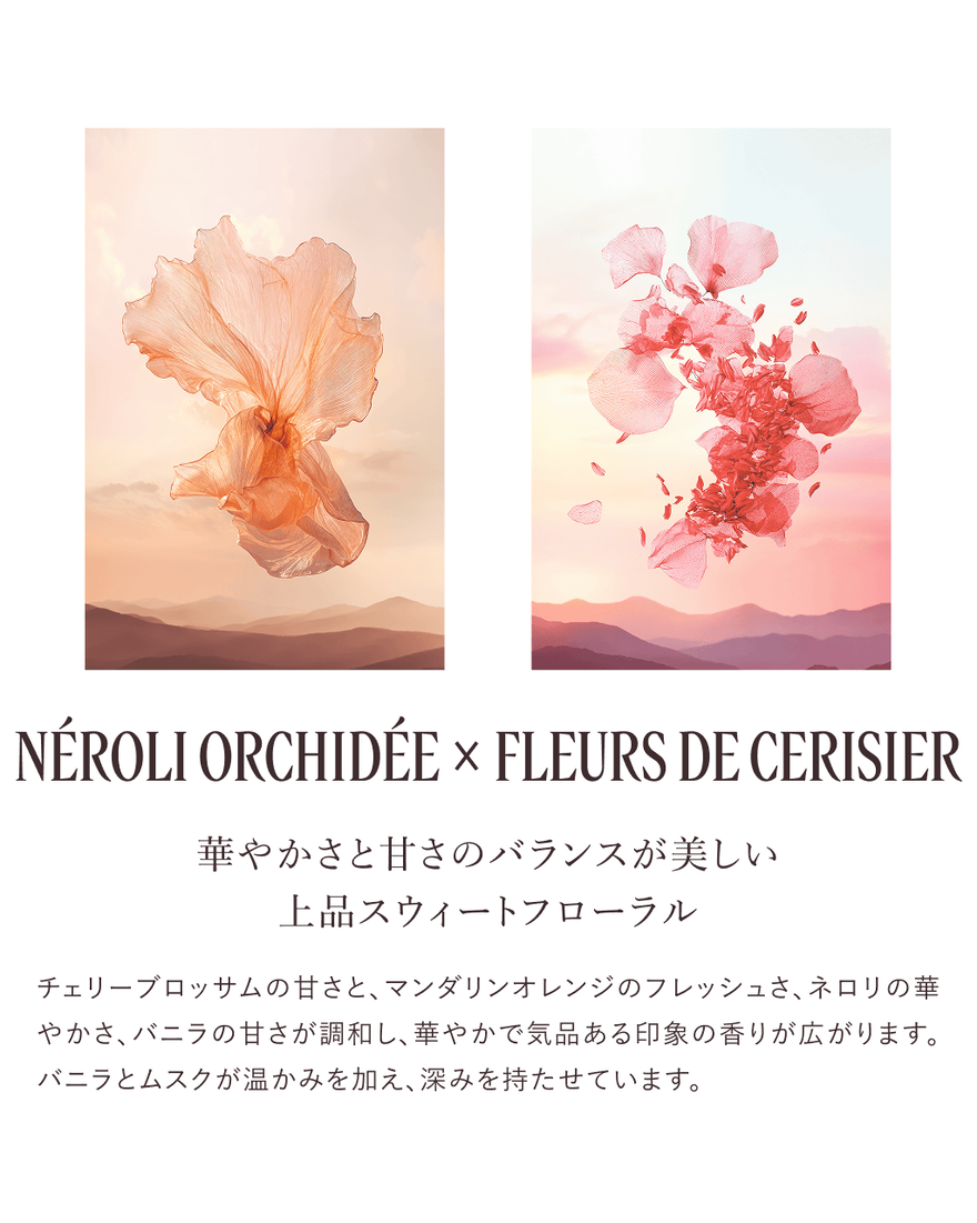 ネロリオーキデ＆フルールドスリジエサクラ[チェリーブロッサム