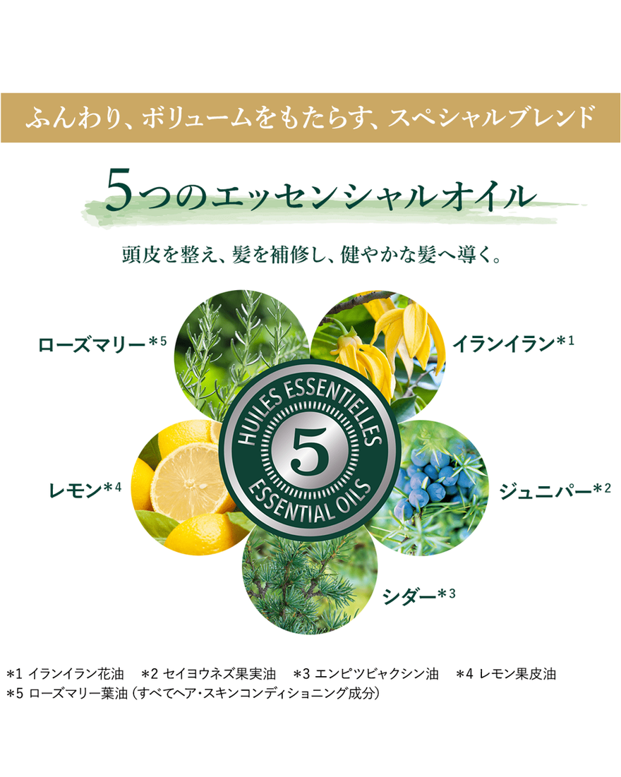 ファイブハーブス ボリューム＆ストレングスコンディショナー 250mL