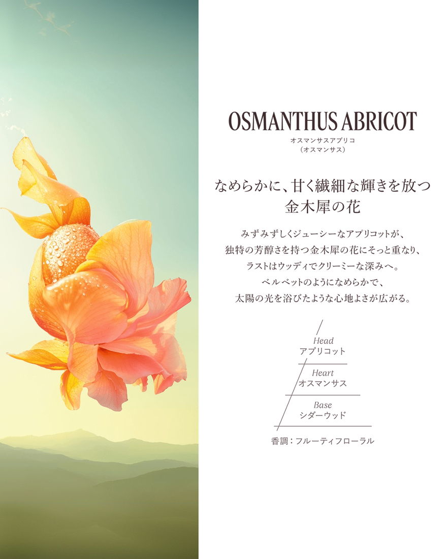 オスマンサスアブリコ[オスマンサス] オードトワレ 50mL｜フレグランス