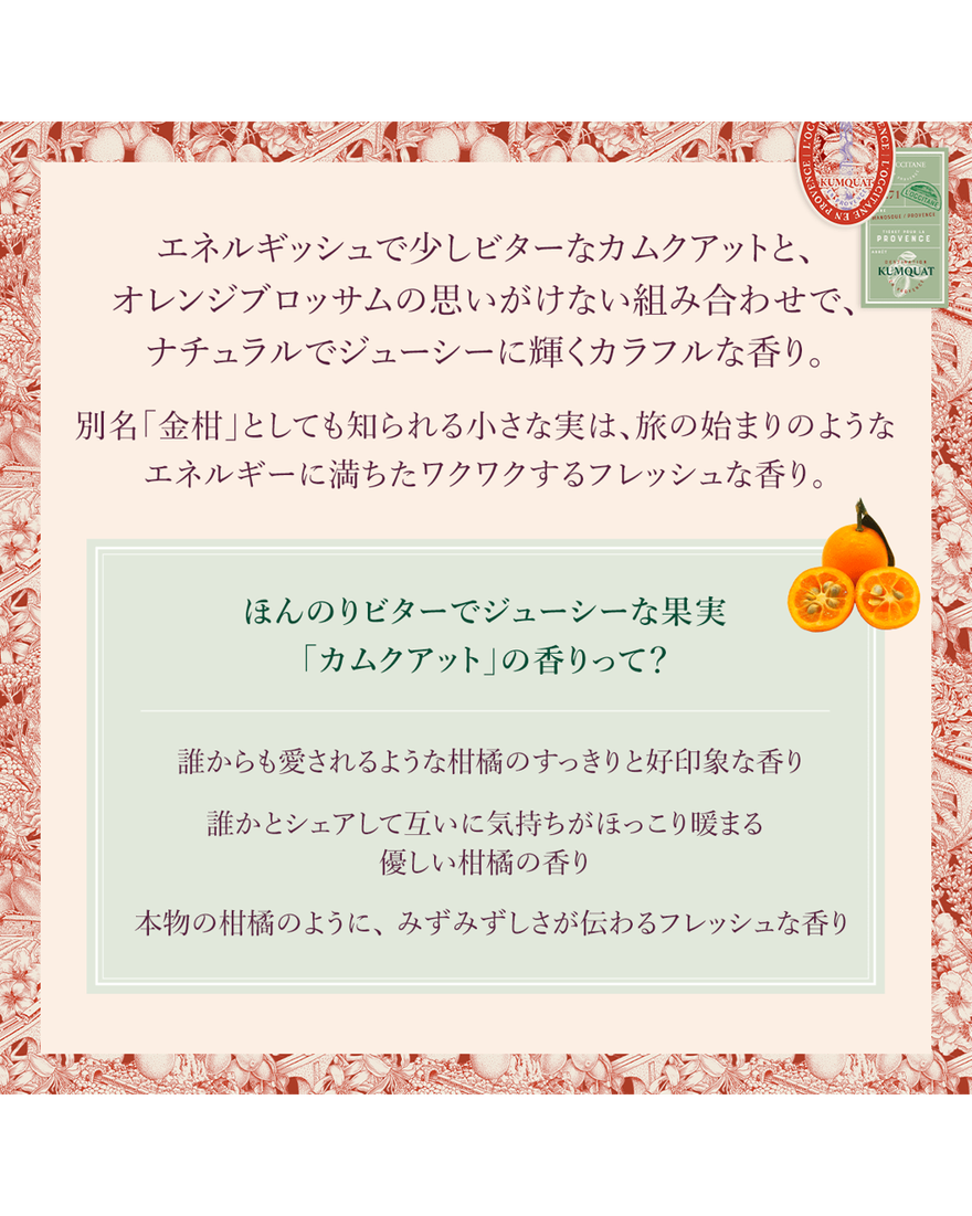 りんごロクシタン Amazon.co.jp: アップルマロン シア ハンドクリーム 150mL : ビューティー