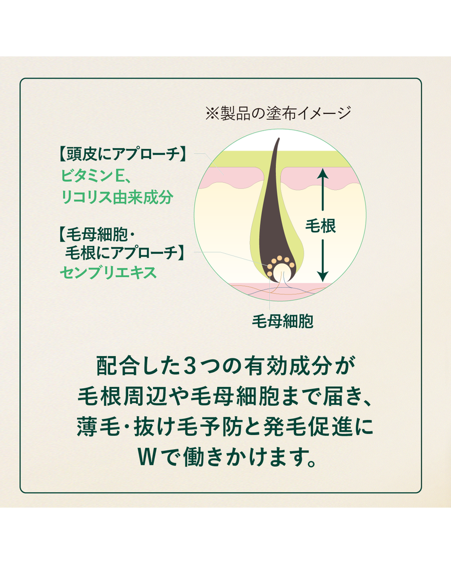 アドバンスドスカルプケア｜ヘアケア｜公式通販限定