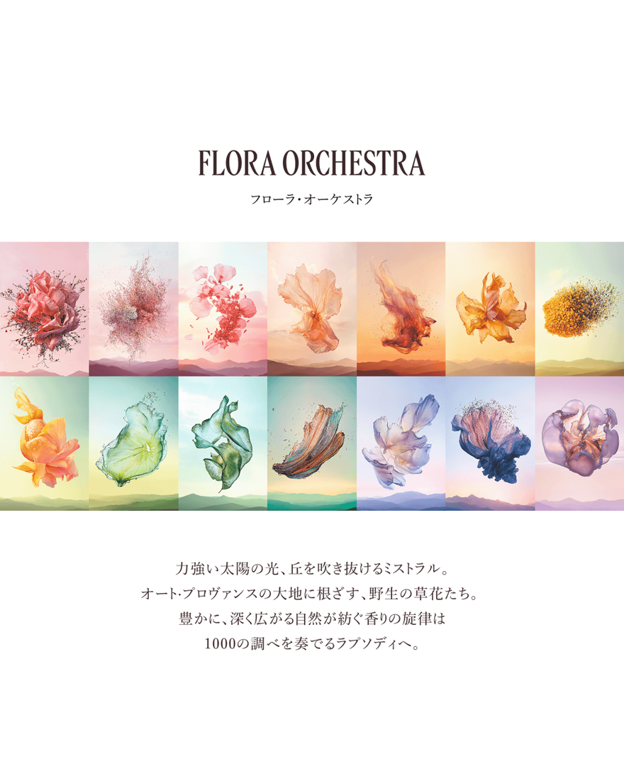 メリロー オードパルファム 50mL｜数量限定｜公式通販・一部店舗限定