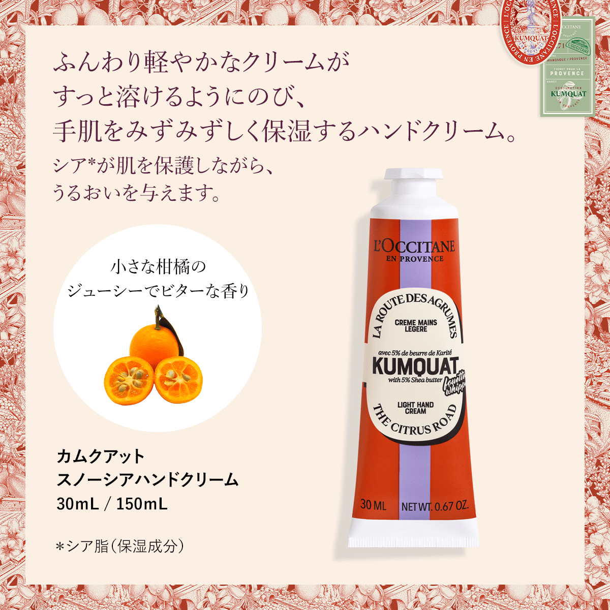 L'OCCITANE カムクアット スノーシア コンプリート