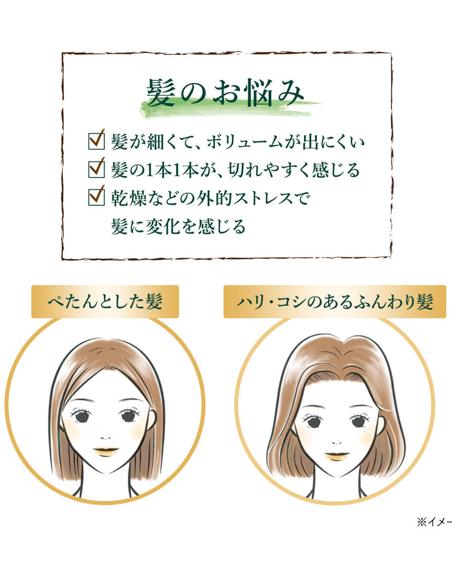 ファイブハーブス ボリューム＆ストレングスコンディショナー 250mL