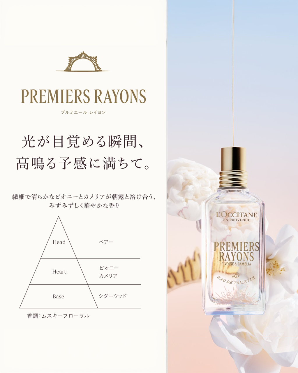 安楽拓也 パーフェクト スウィング セオリー DVD計9巻セット 谷原秀人