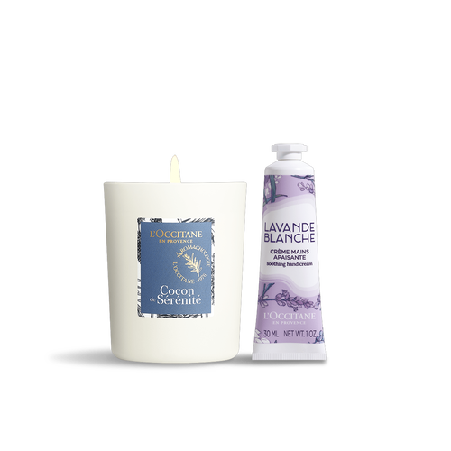 【公式品】 デザイン変更の為 ブランド マッサージキャンドル 50点 公式品】 デザイン変更の為 ブランド マッサージキャンドル 50点