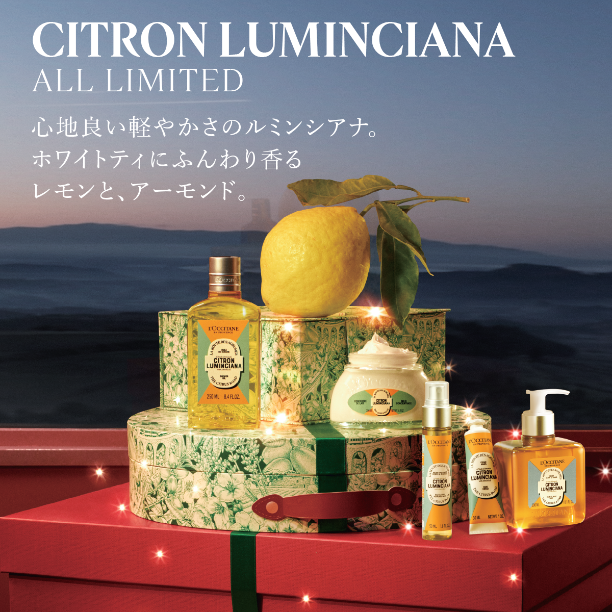 ナノカルファミリープラス6ケース（30個入り）新品未開封 ナノ カルファミリー プラス 30包 レモン味 期限2027年10月