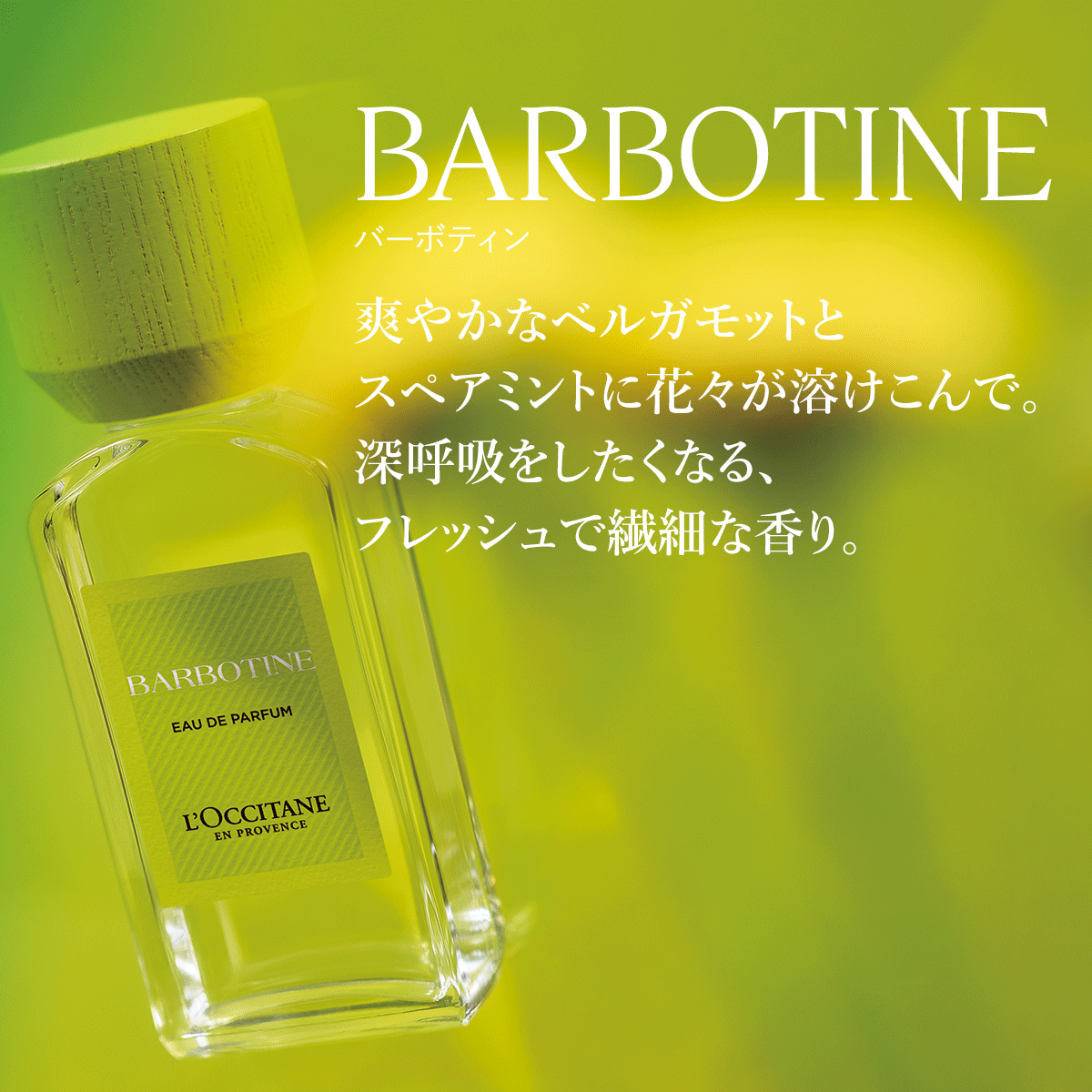 L'OCCITANE BARBOTINE 50ml 香水 Amazon.co.jp: L'Occitane Barbotin Eau De Parfum, 1.7 fl oz