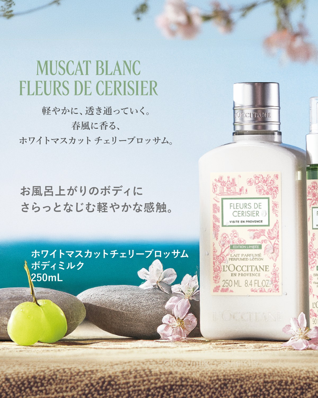 ロクシタン　サクランボ　シャワージェルu0026ボディミルク ロクシタン チェリーライチ ボディミルク シャワージェル モイスチャー