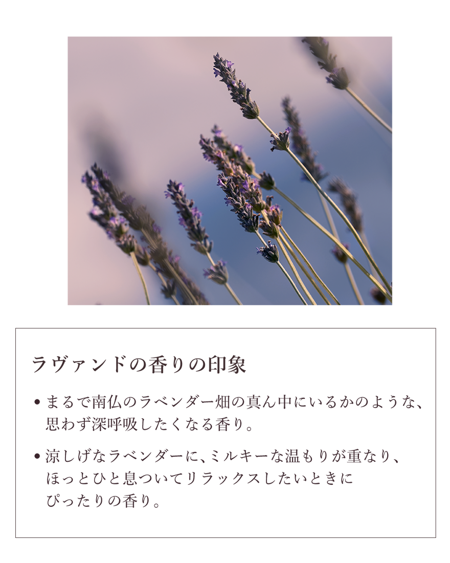 7件中4番目 ラヴァンド[ラベンダー] パフュームド ハンドクリーム, , JPRECT