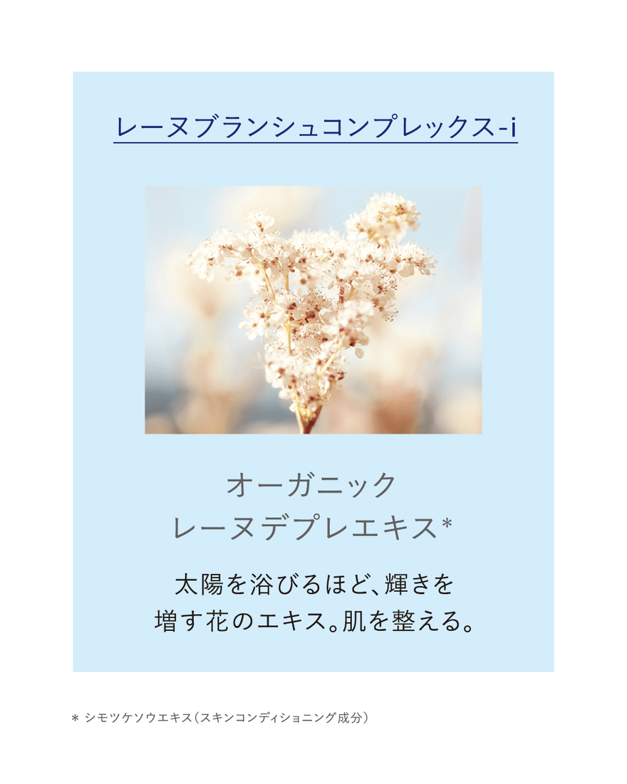 レーヌブランシュ ターゲティッドナイトコンセントレート 15mL＜医薬部