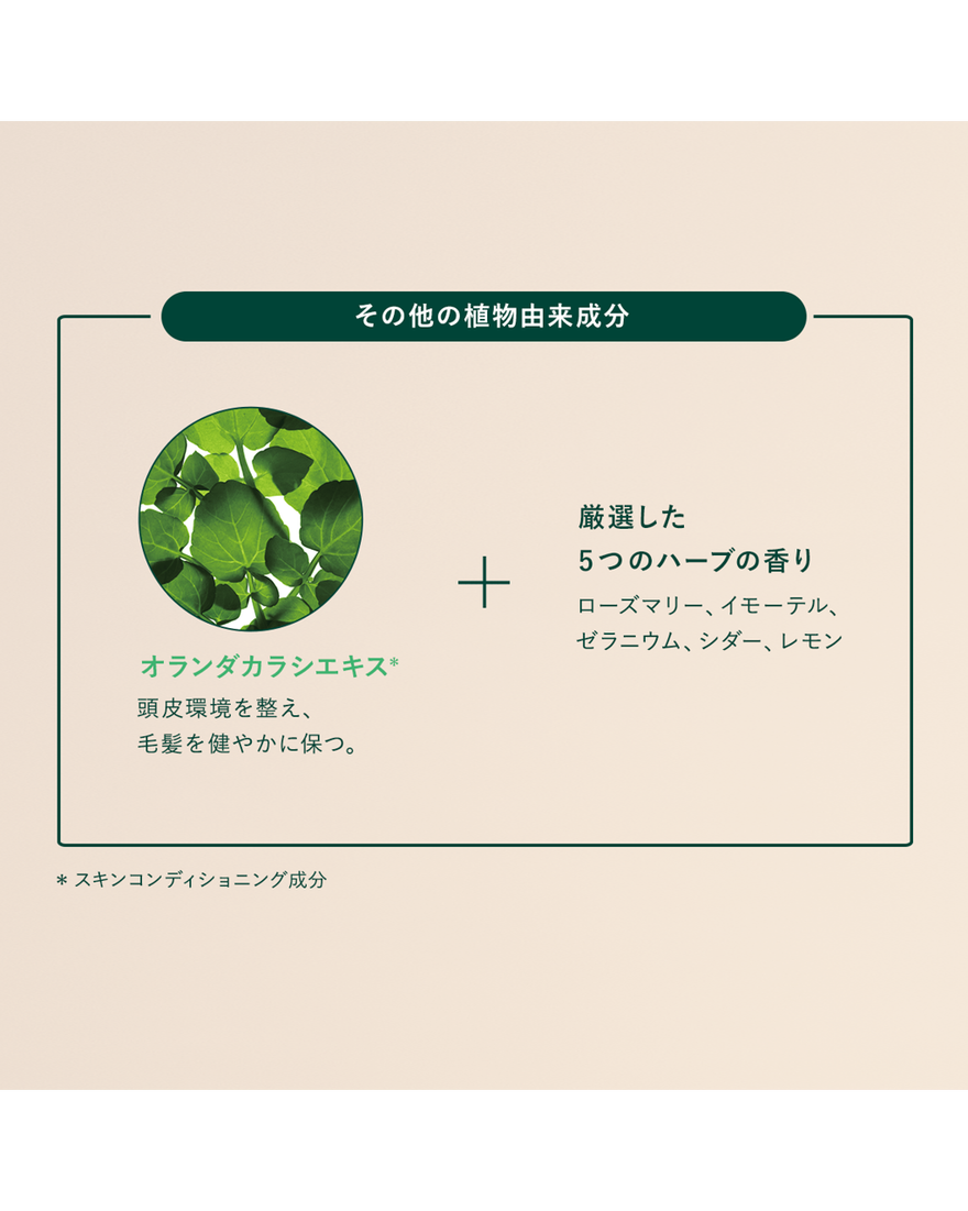 10件中5番目 薬用 メディカル アンチヘアロスセラム＜医薬部外品＞(販売名：ロクシタン アドバンスト スカルプケア), , JPRECT