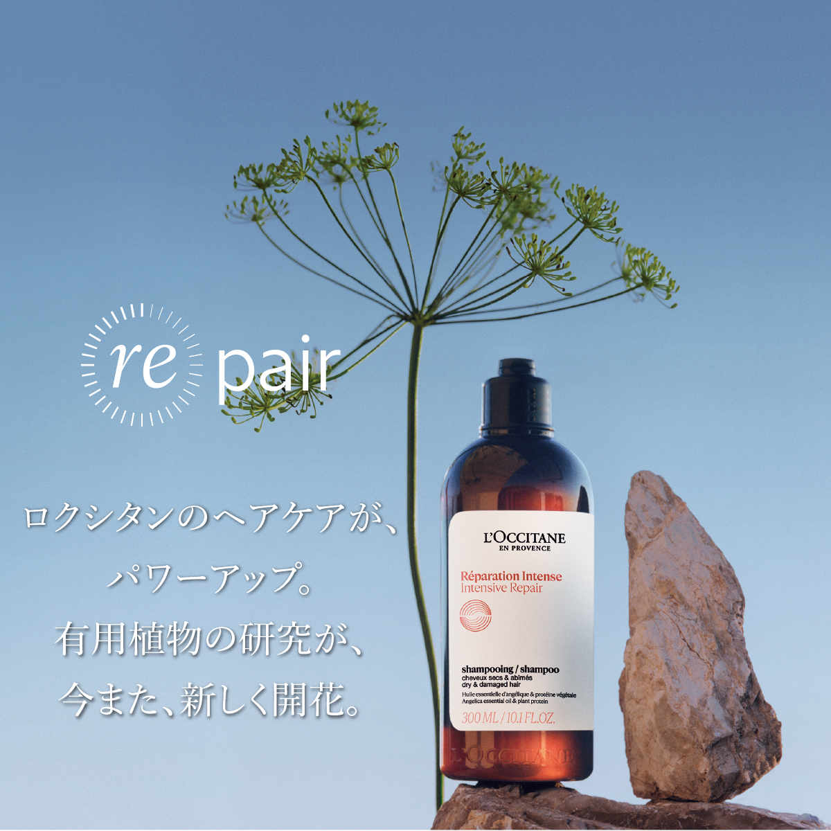 ロクシタン ファイブハーブスシャンプーコンディショナー 詰替用