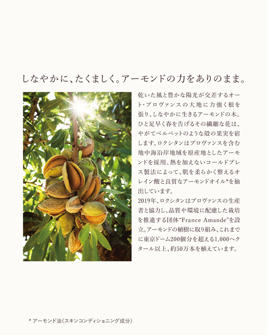 7件中7番目 アマンドスブリーム ポリッシュペースト, , JPRECT