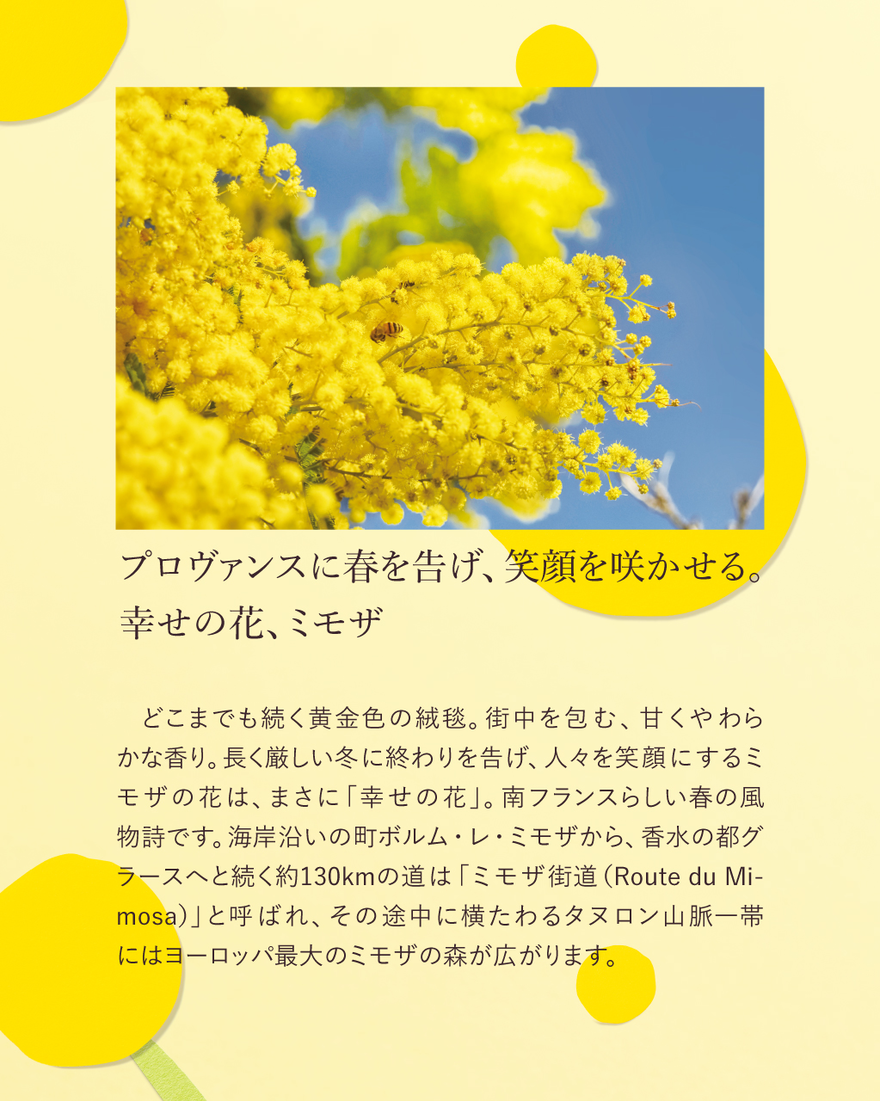 ミモザ パフュームド ハンドクリーム 30mL｜数量限定｜ハンドケア