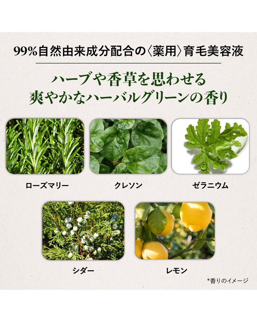 薬用 メディカル アンチヘアロスセラム＜医薬部外品＞(販売名