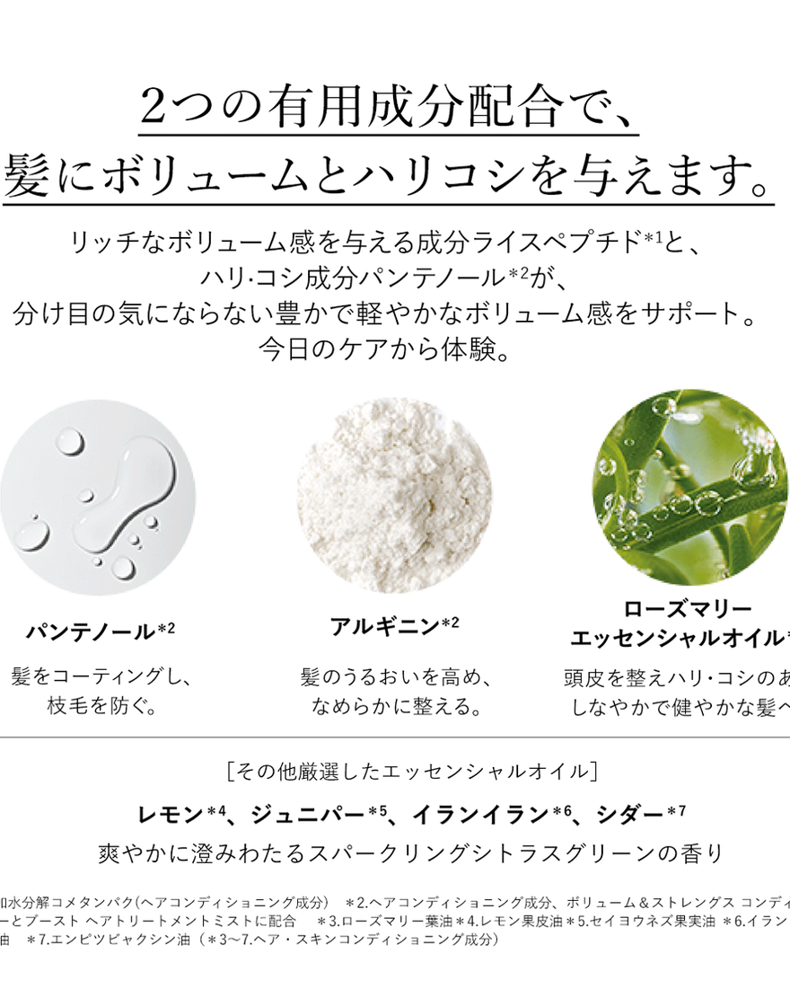 ボリューム＆ストレングス シャンプー 300mL｜ヘアケア｜ロクシタン