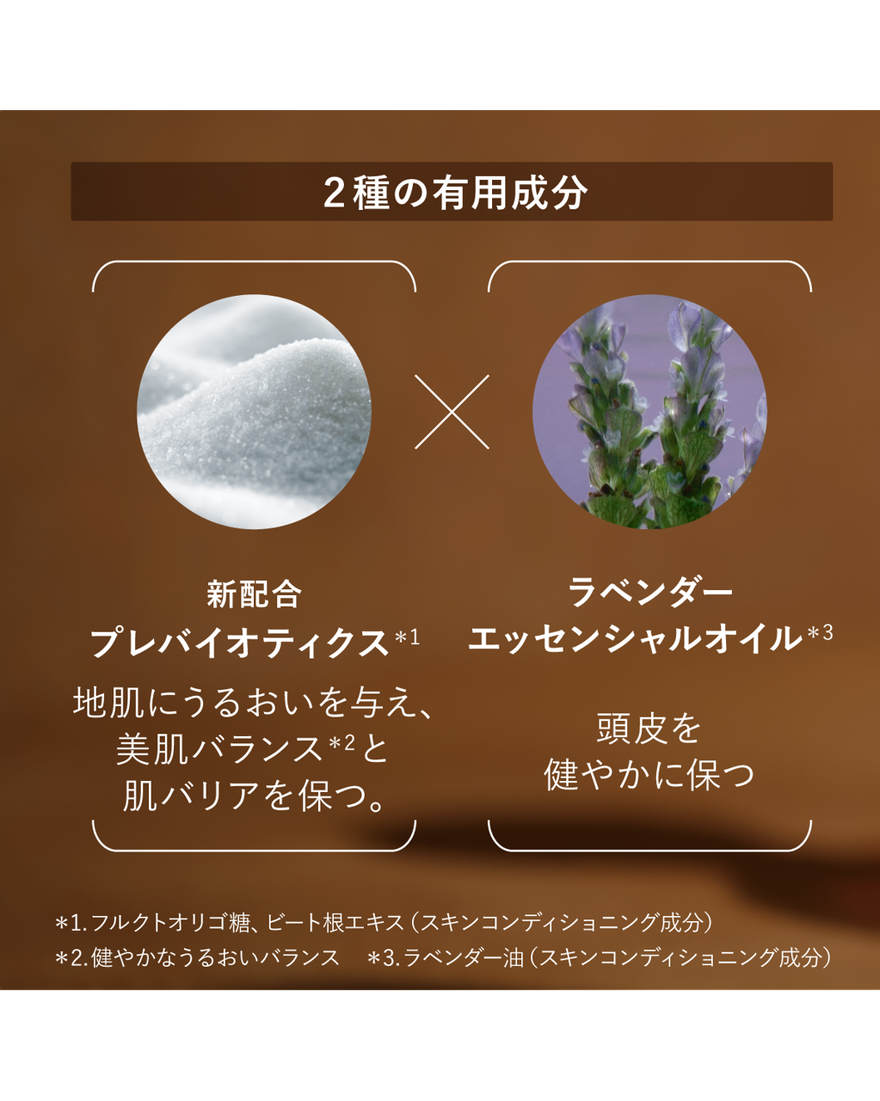 新品 ロクシタン バランシング シャンプー コンディショナー セット 楽天市場】【公式】ロクシタン L'OCCITANE バランシング