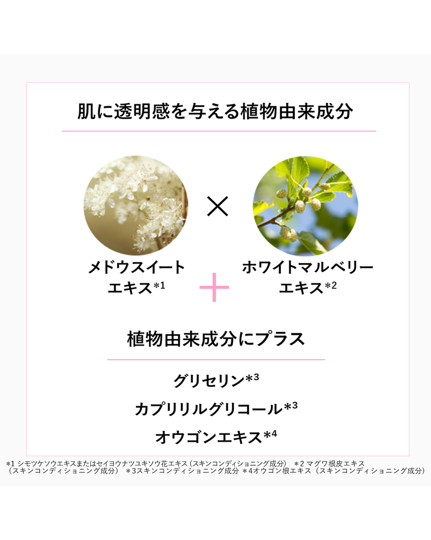 レーヌブランシュ シートマスクセット｜数量限定キット｜スキンケア