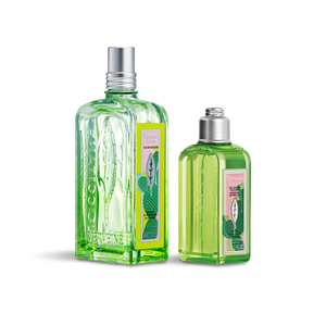 コジオスコ 思慮のない ネコ ヴァーベナ 香水 男 食べる 評論家 ハチ コジオスコ 思慮のない ネコ ヴァーベナ 香水 男 食べる 評論家 ハチ