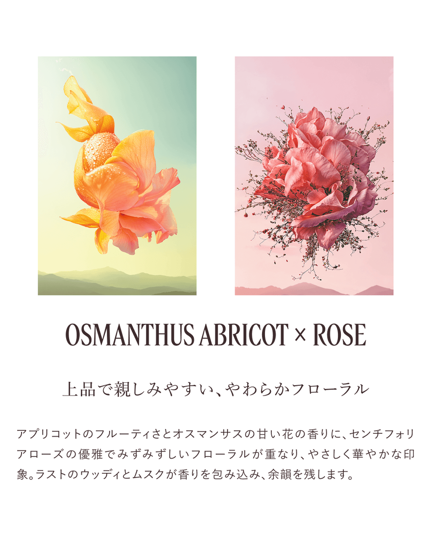 オスマンサスアブリコ[オスマンサス]＆ローズ ハンドデュオ｜数量限定