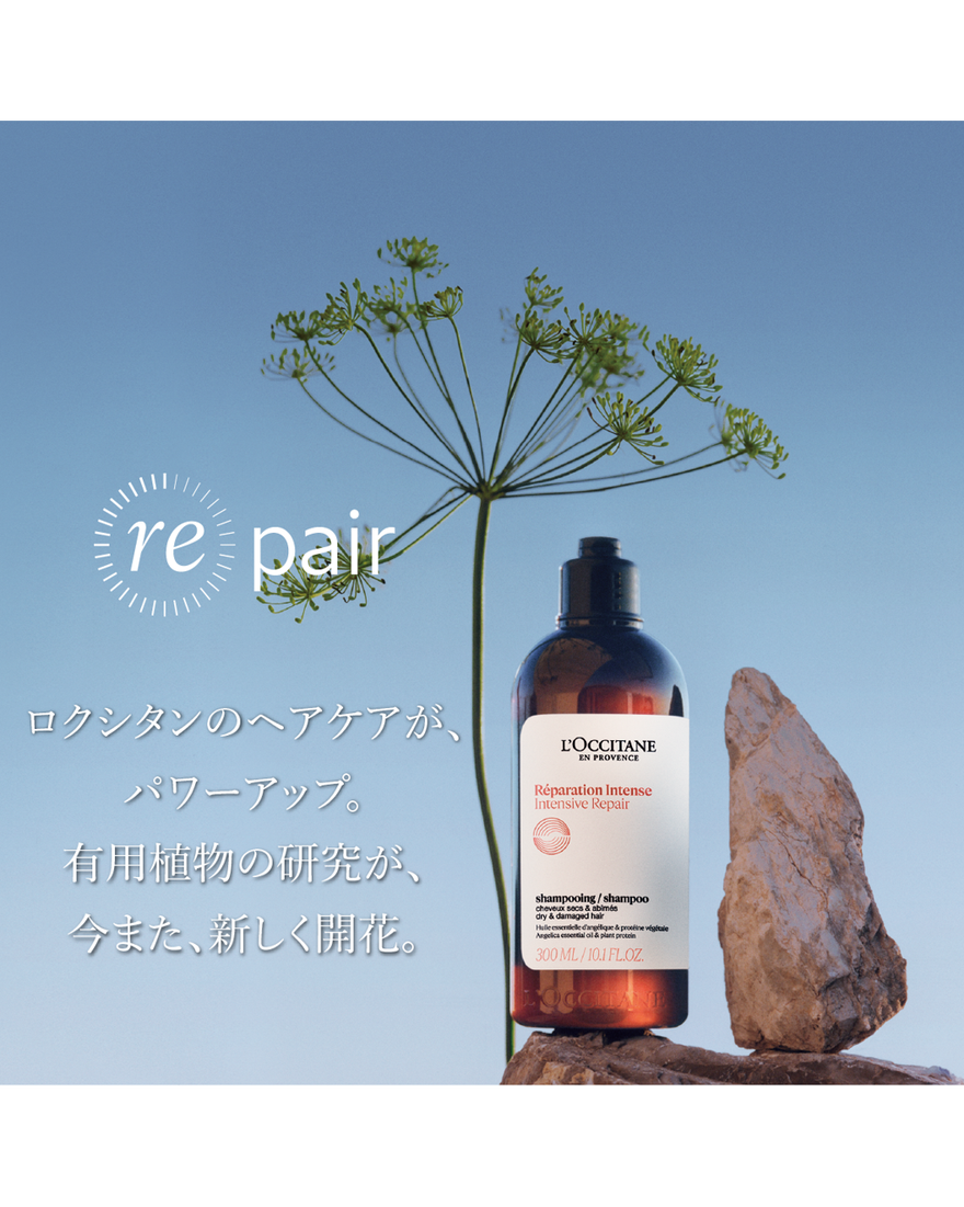 インテンシヴリペア ヘアマスク 200mL｜ヘアケア｜ロクシタン公式通販