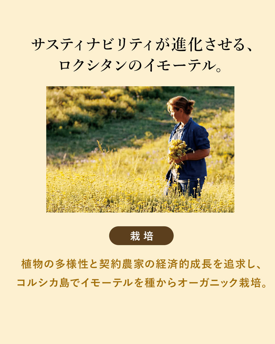 ロクシタン ディヴァイン パーフェクト 未使用 イモーテル ディヴァインポイントリファインセラム 15mL｜スキンケア