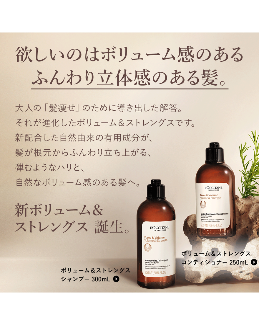 ボリューム＆ストレングス シャンプー（レフィル） 250mL