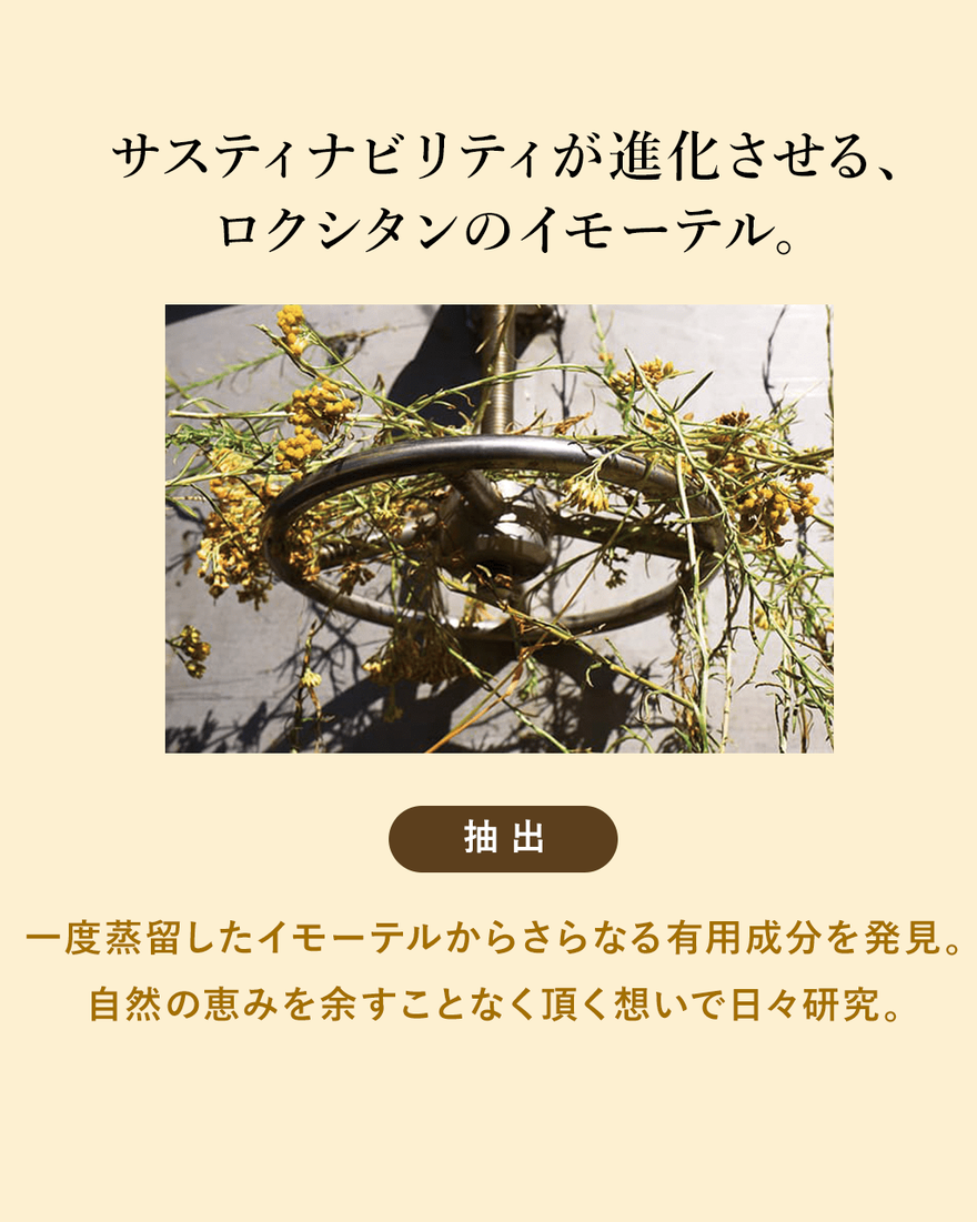 ロクシタン ディヴァイン パーフェクト 未使用 ロクシタン ディヴァイン パーフェクト 未使用 ロクシタン