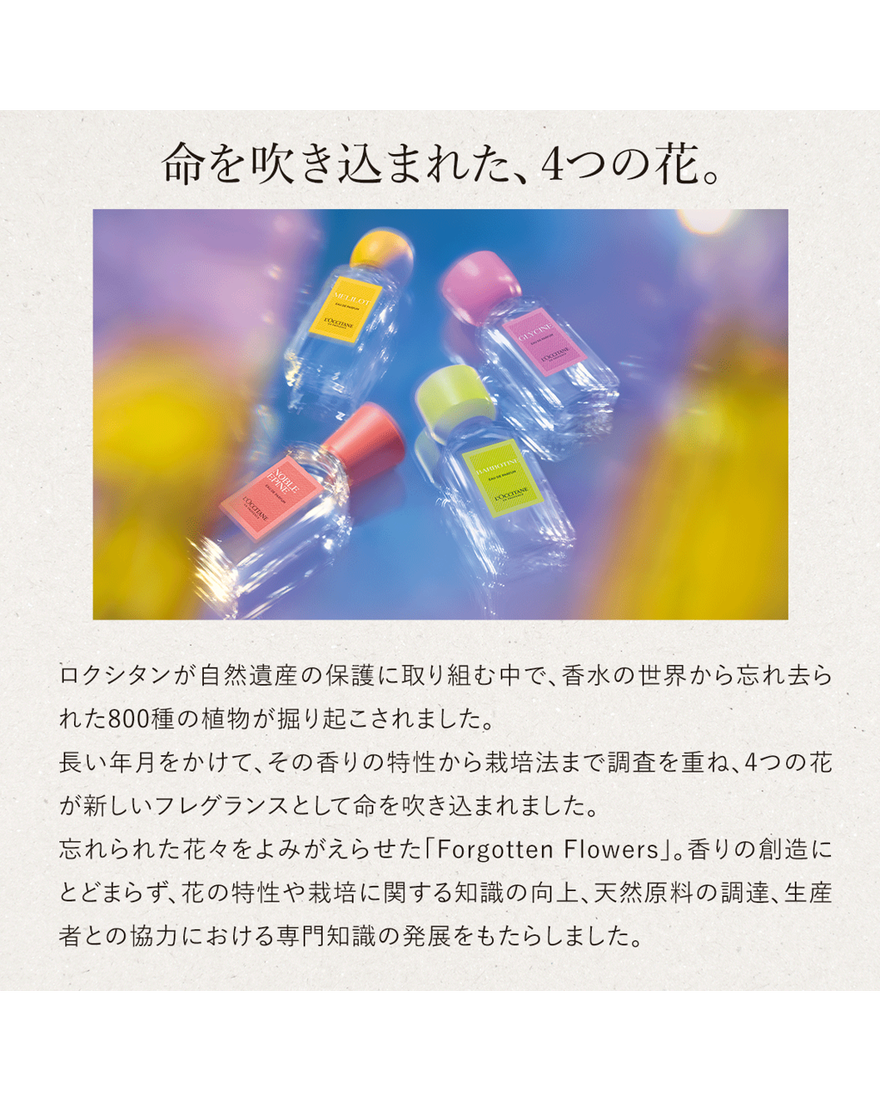 グリシーヌ シャワージェル 250mL｜Last Chance｜ロクシタン公式通販