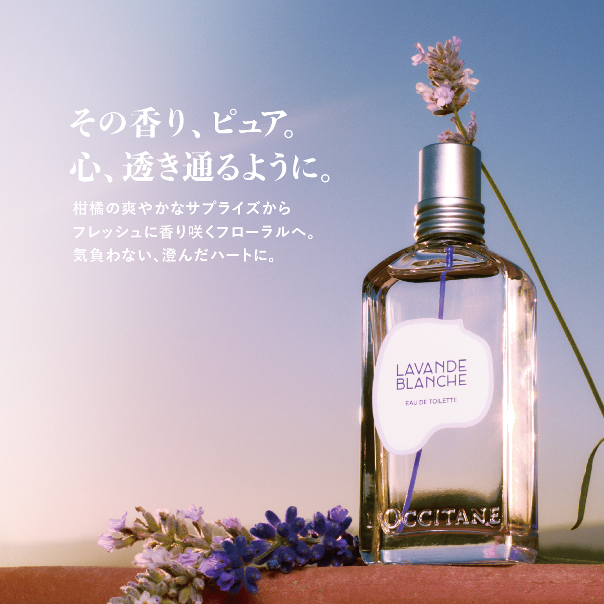 ロクシタン ホワイトラベンダー オードトワレ/ジェリーフレグランス