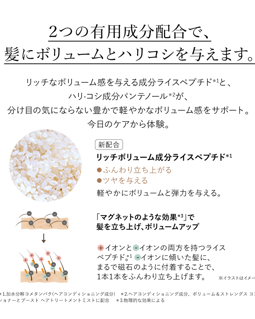 ボリューム＆ストレングス シャンプー 500mL｜ヘアケア｜ロクシタン