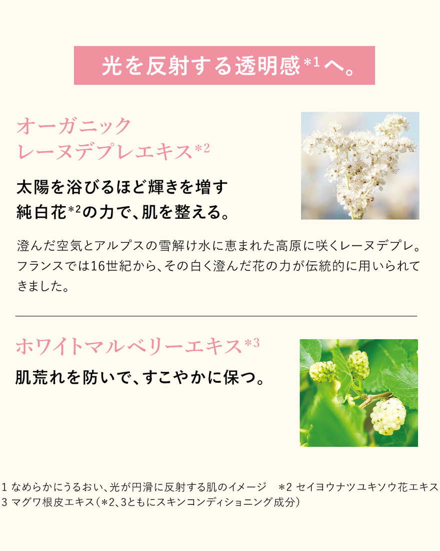 レーヌブランシュ ブライト二ングUVエマルジョン ローズ SPF30/PA+++