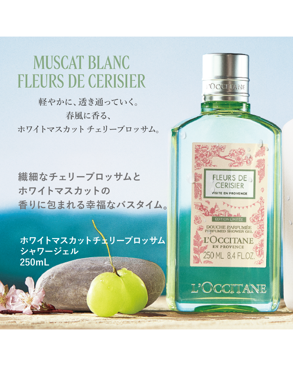 ロクシタン チェリーブロッサム オードトワレ、シャワージェルセット ホワイトマスカットチェリーブロッサム シャワージェル 250mL｜Last