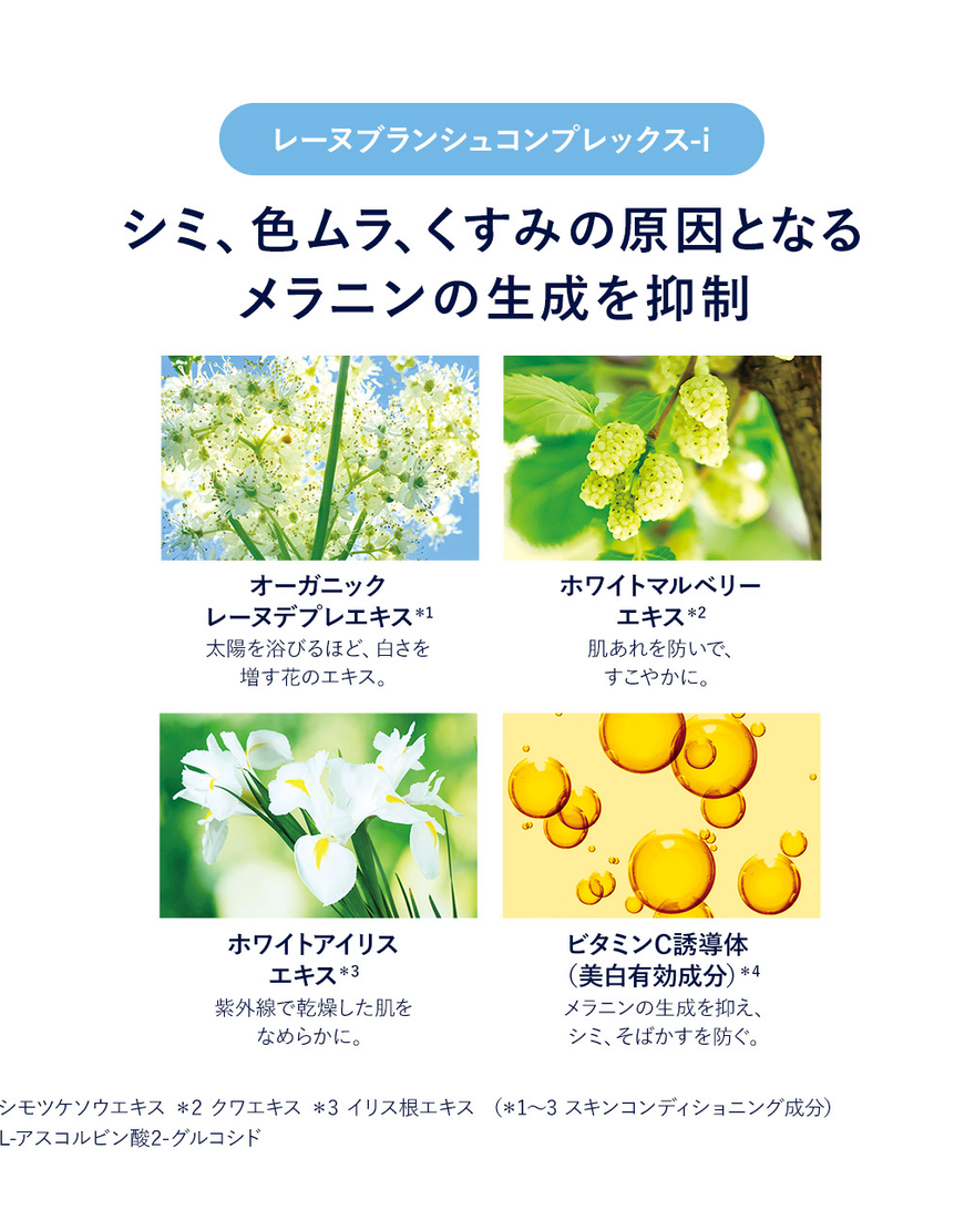 ロクシタン レーヌブランシュ 30ml ロクシタン / レーヌブランシュ ホワイトニングセラムの公式商品情報