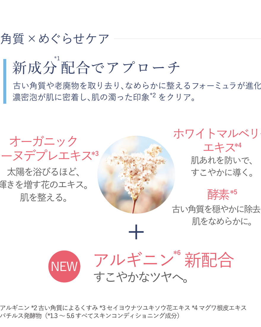 レーヌブランシュ イルミネイティングクレンジングフォーム 150mL