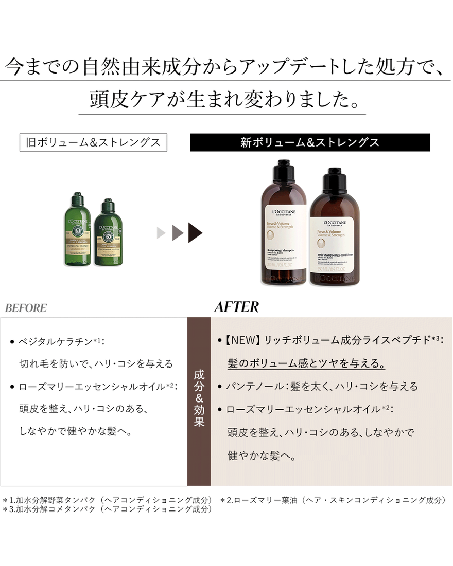 ボリューム＆ストレングス シャンプー（レフィル） 250mL｜ヘアケア