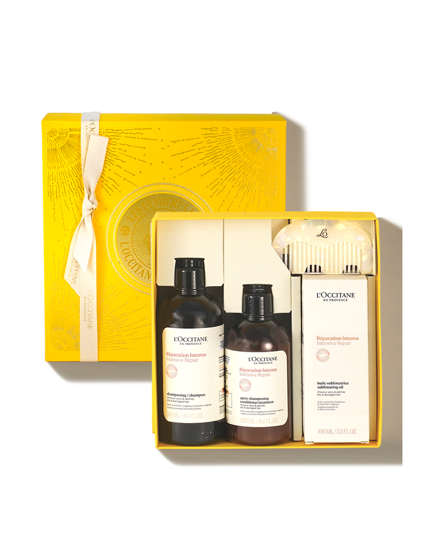 ホリデー インテンシヴリペア レギュラーデュオプラス｜数量限定キット