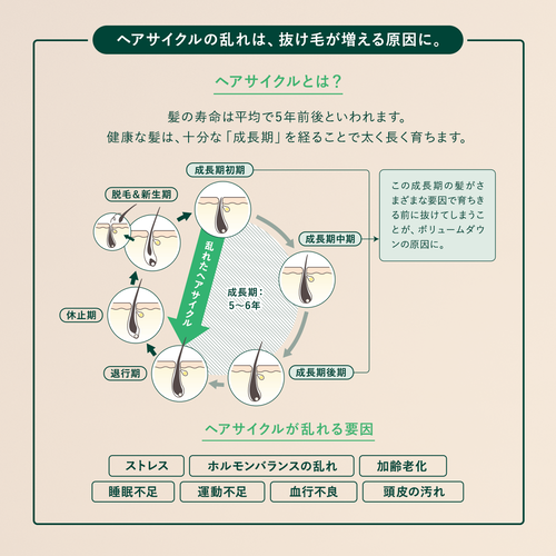 薬用 メディカル アンチヘアロスセラム＜医薬部外品＞(販売名