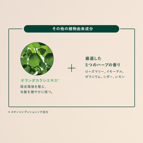 薬用 メディカル アンチヘアロスセラム<医薬部外品>(販売名 薬用 メディカル アンチヘアロスセラム<医薬部外品>(販売名