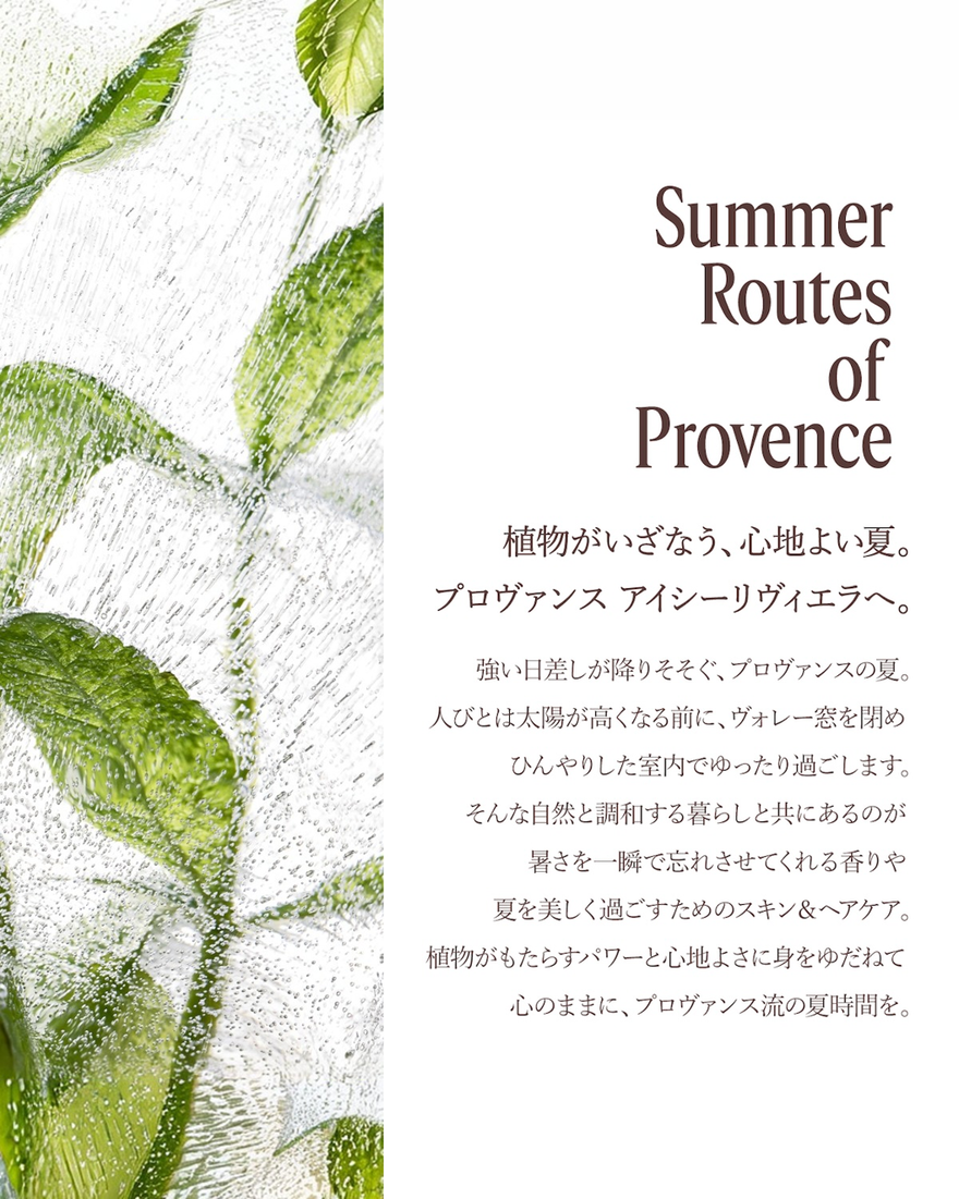 ヴァーベナ アイシーボディジェル 250mL｜Last Chance｜ロクシタン公式通販