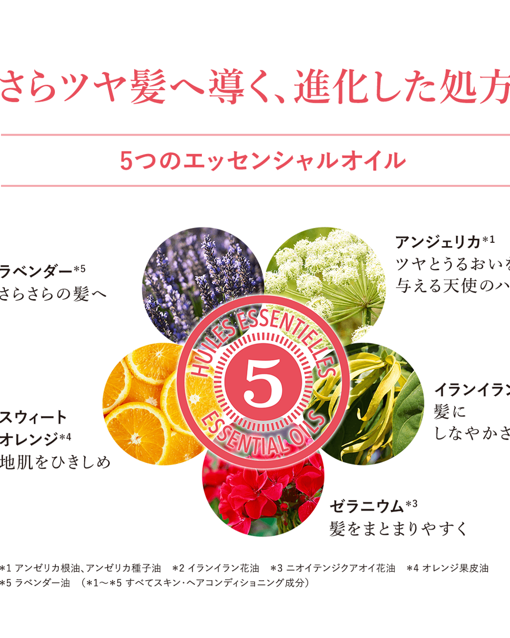 【新品・未開封】ロクシタン ファイブハーブス Rコンディショナー つめかえ用 ロクシタン ファイブハーブス シャンプー コンディショナー レフィル L