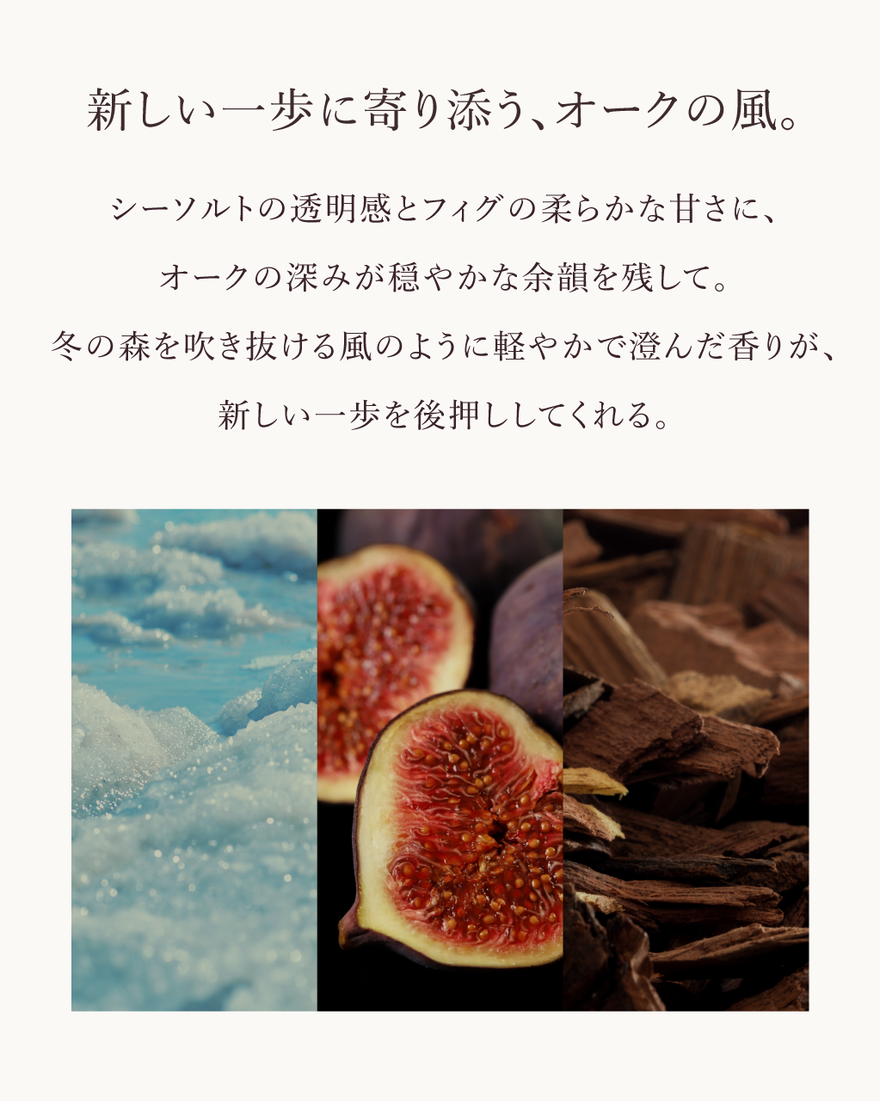 13件中4番目 ホリデー シャワージェルディスカバリー ボックス入り【数量限定】, , JPRECT