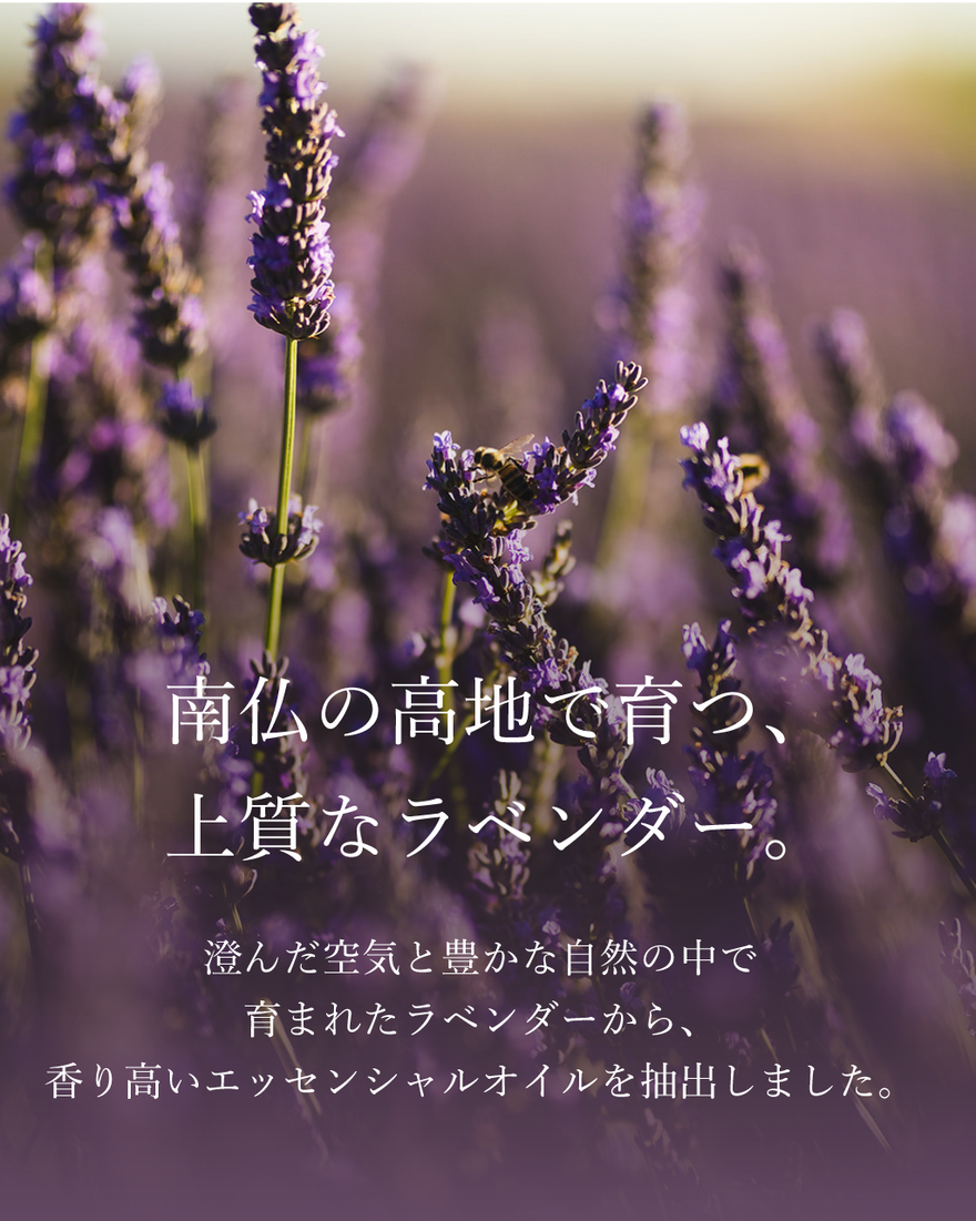 7件中6番目 ラヴァンド[ラベンダー] パフュームド ハンドクリーム, , JPRECT